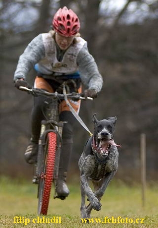 Tri studne - podzim 07 - 326.jpg